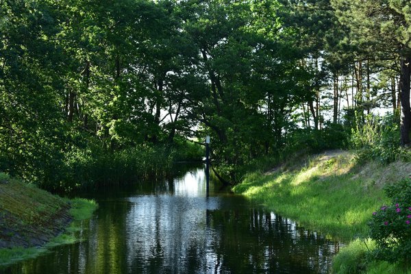 Intégrer la corde à sauter dans votre stratégie de perte de poids : Les bienfaits et conseils pratiques